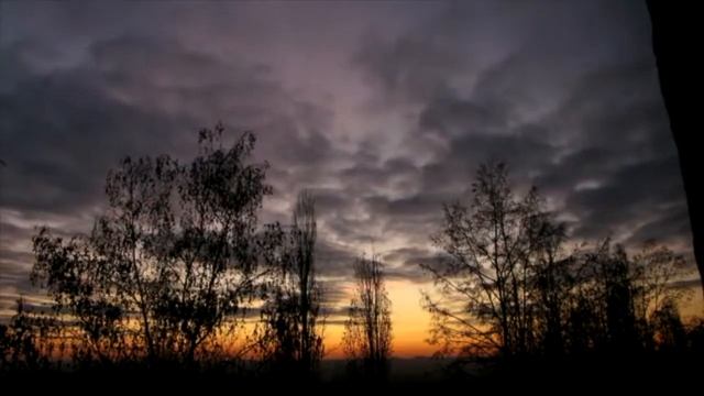 Рома Фандорин - Я люблю тебя