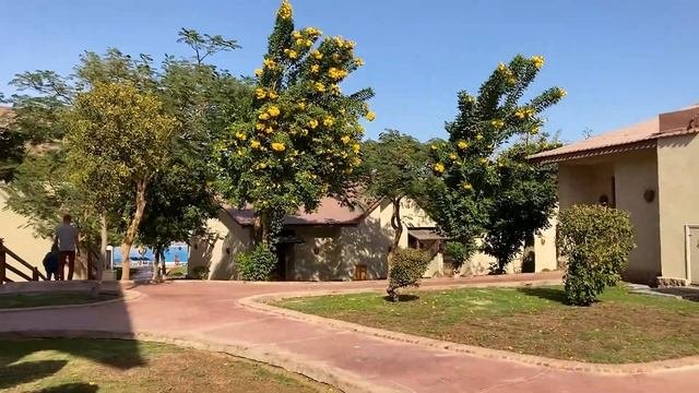 Обзор отеля Pickalbatros Jungle Aqua Park Resort