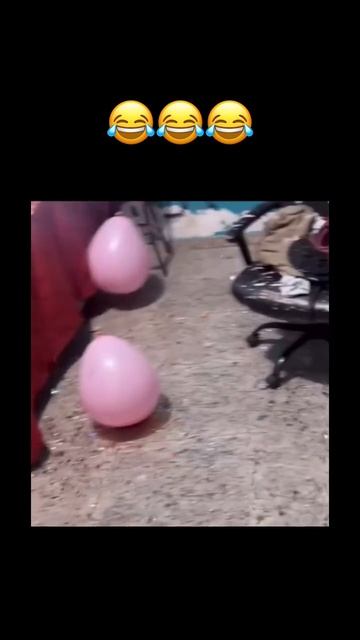 7595105716802.mp4