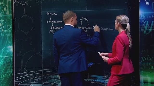 Как работает память?