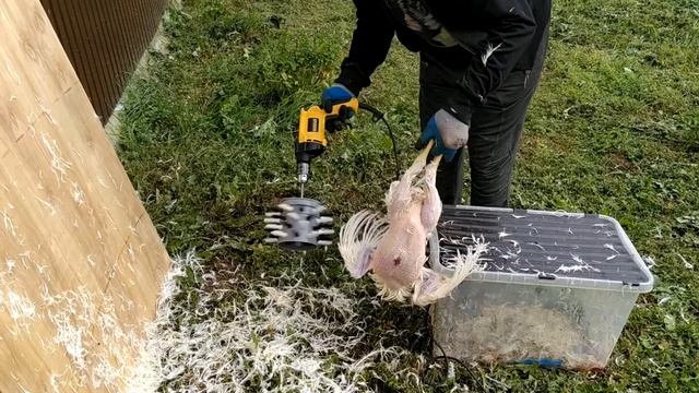 Ощип бройлера перосъемной насадкой от Вячеслава П.