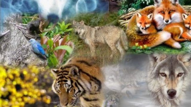 Игрушки, дикие животные