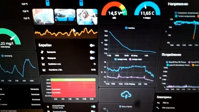 Зимовка осетров в УЗВ без зимовала