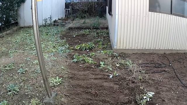 musashi　除草バイブレーター　ＷＥ-700　性能チェック