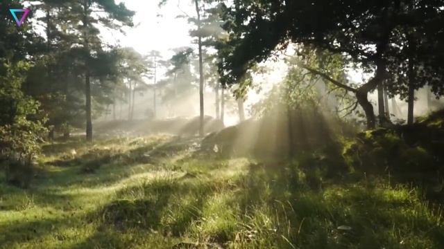 ▽ Глобальное потепление. Миф или реальность