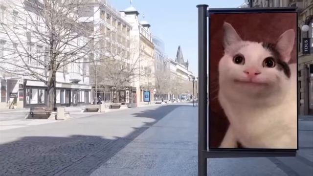 сборник белуги 1 часть 30 мин