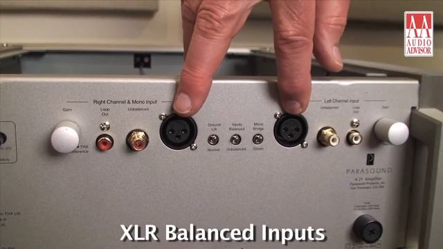 Parasound Halo A 21 Power Amp - Rear Panel – Audio Advisor