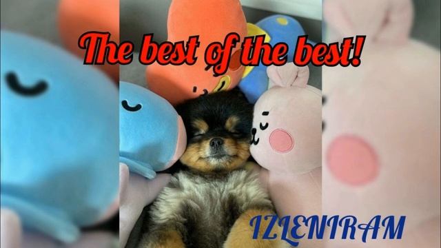 The best of the best/Изленирам/Записки инсайдера