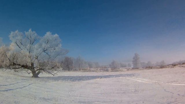 Весна 2024 Фото зарисовка!