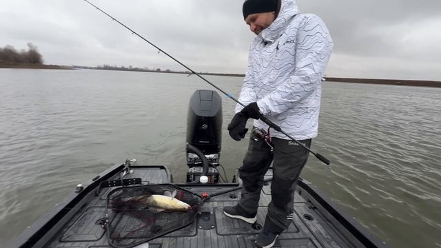 Приехал напарник. Половили судаков. Январь 2025