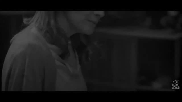 страшные истории кот бегемот когда отключат свет 😨😱