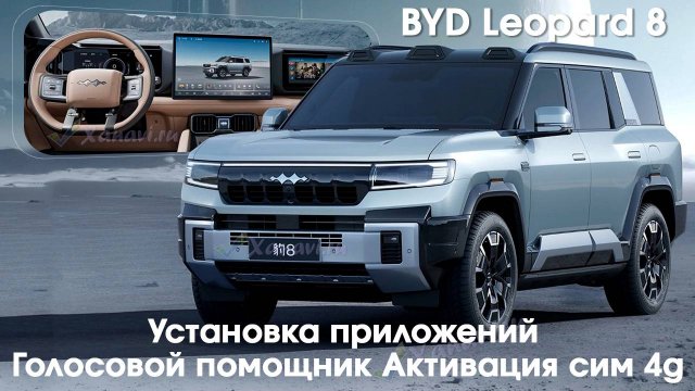 Leopard 8 - установка приложений на 2 экрана, голосового ассистента, SIM, диагностика и обновление