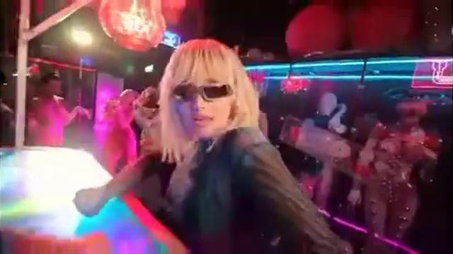 мия бойка -саламандра