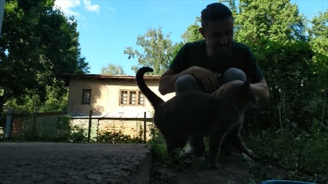 КОТ СИМБА.  Simba The Cat 2022 06 24