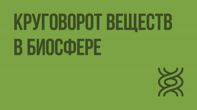 Круговорот веществ в биосфере. Видеоурок по биологии 11 класс