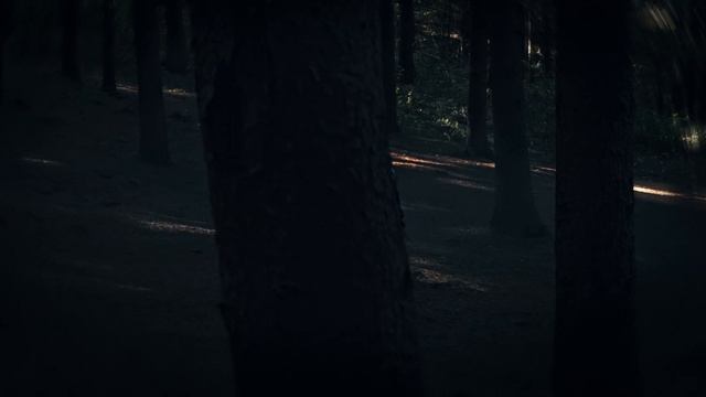 Felix – Unfair