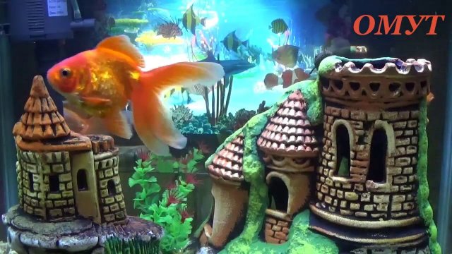 194.ТРИ ДОСТОЙНЫЕ УСИЛЯЛКИ. И Ваши Комменты ДРУЗЬЯ!!!