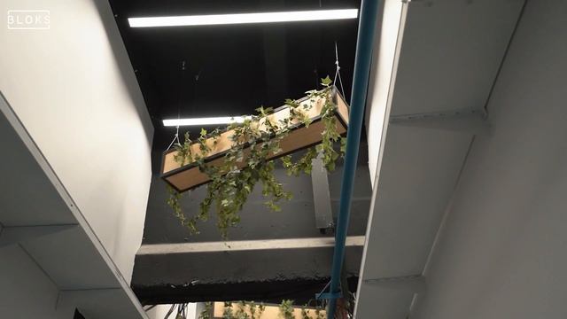 Коворкинг Bloks краткий обзор