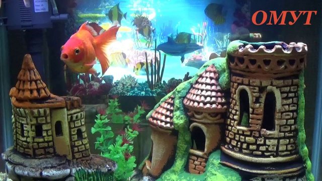 221. ГОТОВИМСЯ К ПОЛНОЛУНИЮ ДРУЗЬЯ...