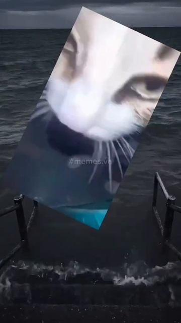 Marlboro