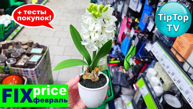 🔥В ФИКС ПРАЙСЕ КУПИЛА ЭТО СРАЗУ ЖЕ🔥 НОВИНКИ СУПЕР🔥 ТЕСТИРУЮ ДОМА 🔥КОТОПОЗИТИВ🔥