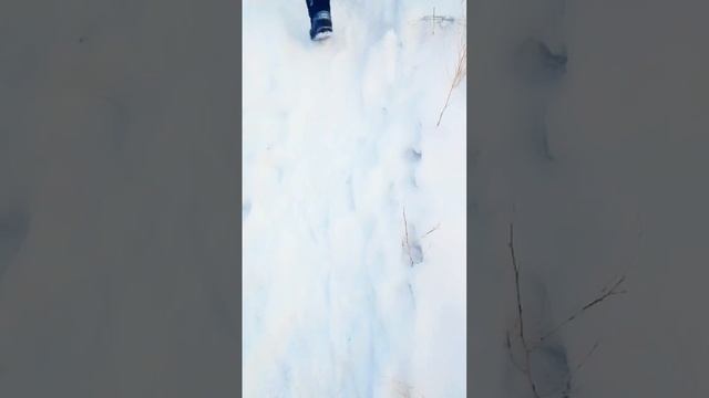 неудачные дубли с похода на коньюн видео на канале фантом Миша скоро