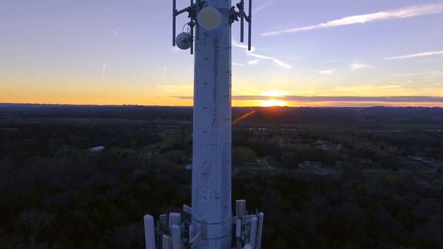 История Тани Райдер