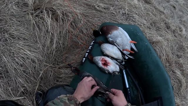 Охота на уток в Якутии 2024