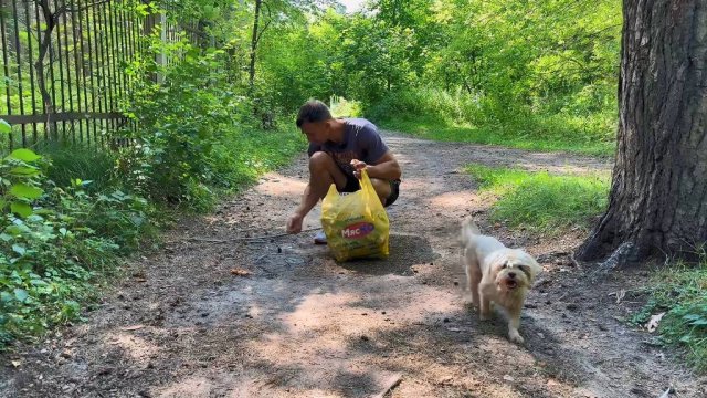 В МИРЕ СВИНЕЙ