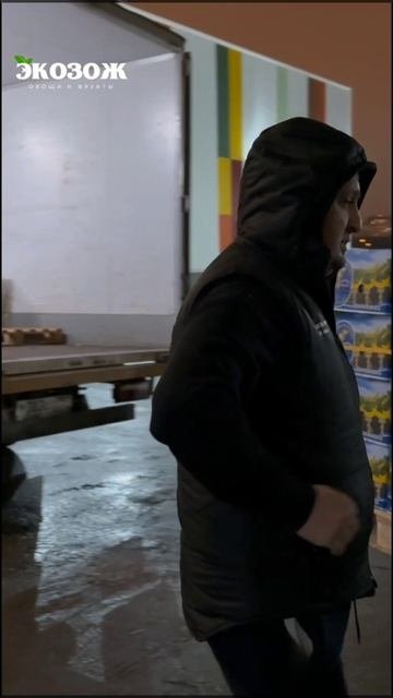 ЭКОЗОЖ ГРУПП