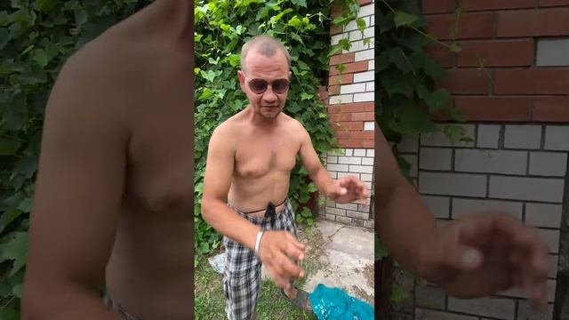 Профессору прислали  / ГАРДЕЙ И ИВАНЫЧ #рек #россия #shortsvideo #тренды #рекомендации #shorts #дед