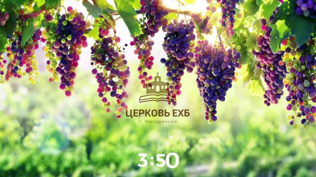 Воскресное Богослужение 09.02.2025г