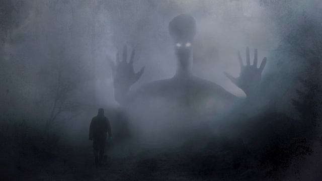 короткие видео/Olga Fortuna