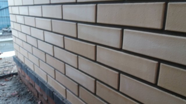 в процессе олицовки