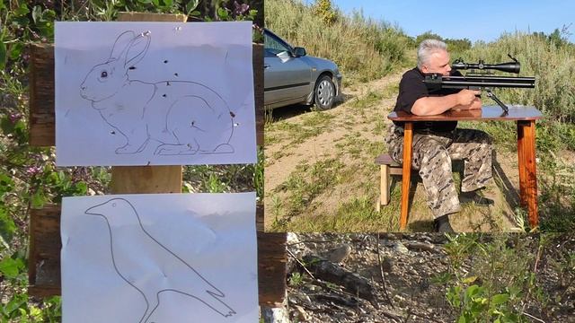 доберман альфа 110 метров заяц