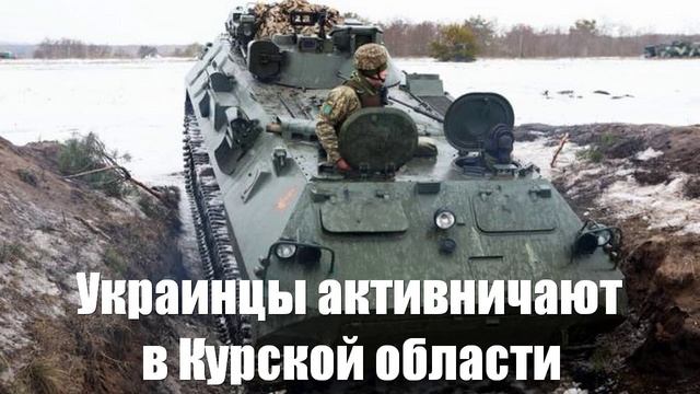 Украинцы активничают в Курской области, одержимые глупой идеей «обменного фонда» - Война на Украине