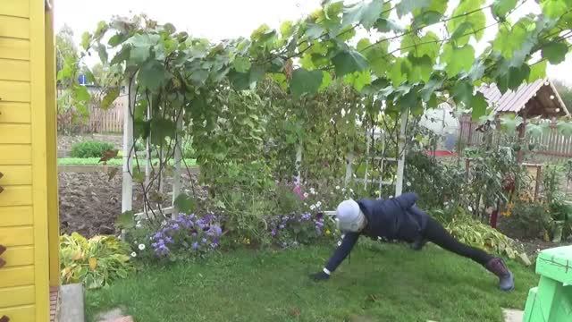 6 соток 7 октября 2020 года Хроника