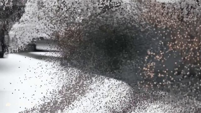 короткие видео/Olga Fortuna