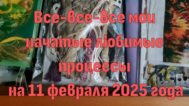 Все-все-все мои начатые, любимые процессы на 11 февраля 2025 года