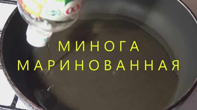 Маринованные миноги