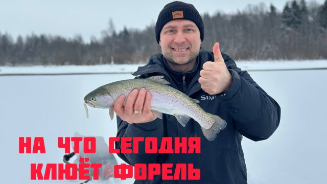 Ловля прудовой форели. На что сегодня клюёт форель?