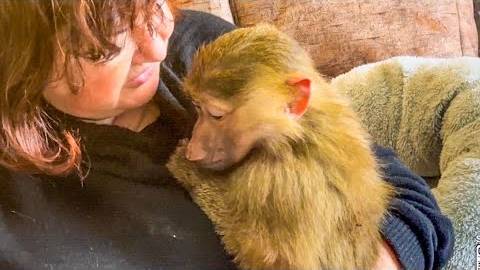 ЖЕСТЬ! У Мани ИСТЕРИКА, Лида ее жестко наказала и мама еле отбила любимицу, но все равно ругает ее!