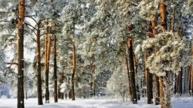 Анатолий Кулагин - А Жаль