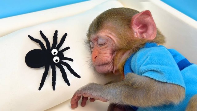Чичи катается на самокате и ест мороженное|Чичи помогает друзьям|Малыш Чичи