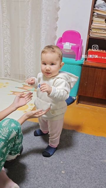 Первые шаги