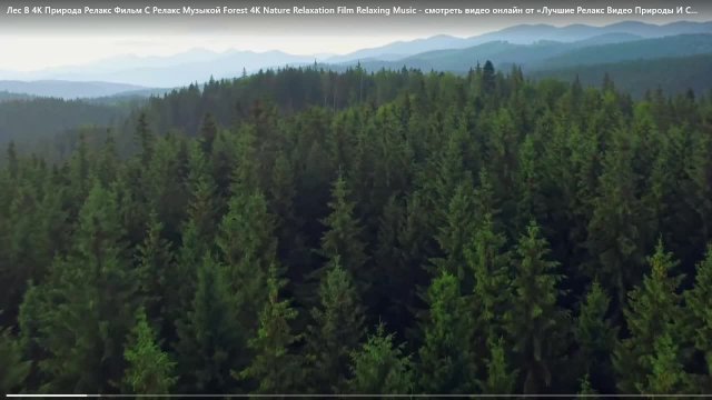 РЕЛАКС ПРОГУЛКА ВИРТУАЛЬНАЯ ПО ЛЕСУ