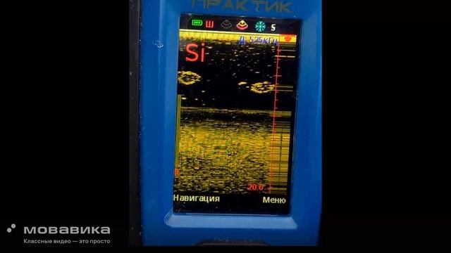Эховизор Практик 8