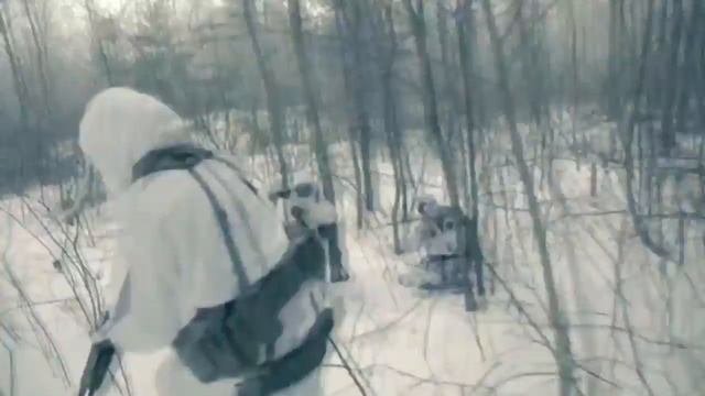 Наши мыши