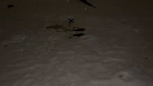 1000051763.mp4