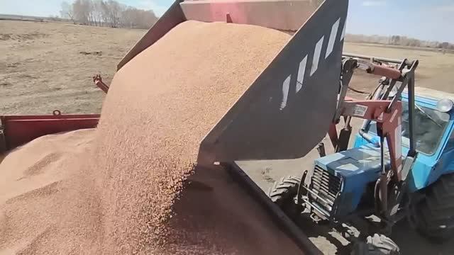 Итоги уборочной 2024 #42 Сколько в закромах?